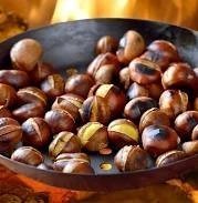 Chestnut live (2 plants ) |
